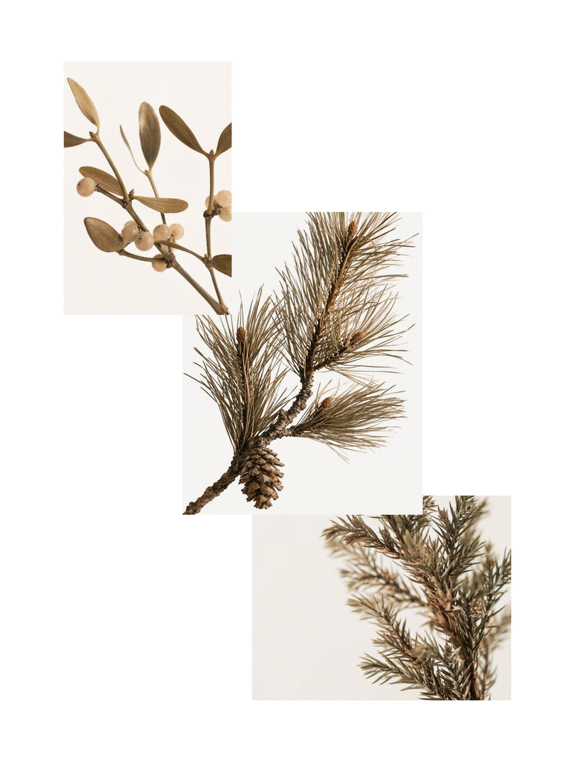 Bohemian Forest Room Diffuser