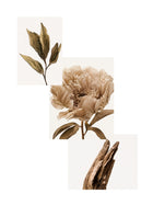 Botan Fragrance Mist