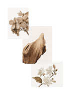 Sandalewood Jasmine Japanese Incense