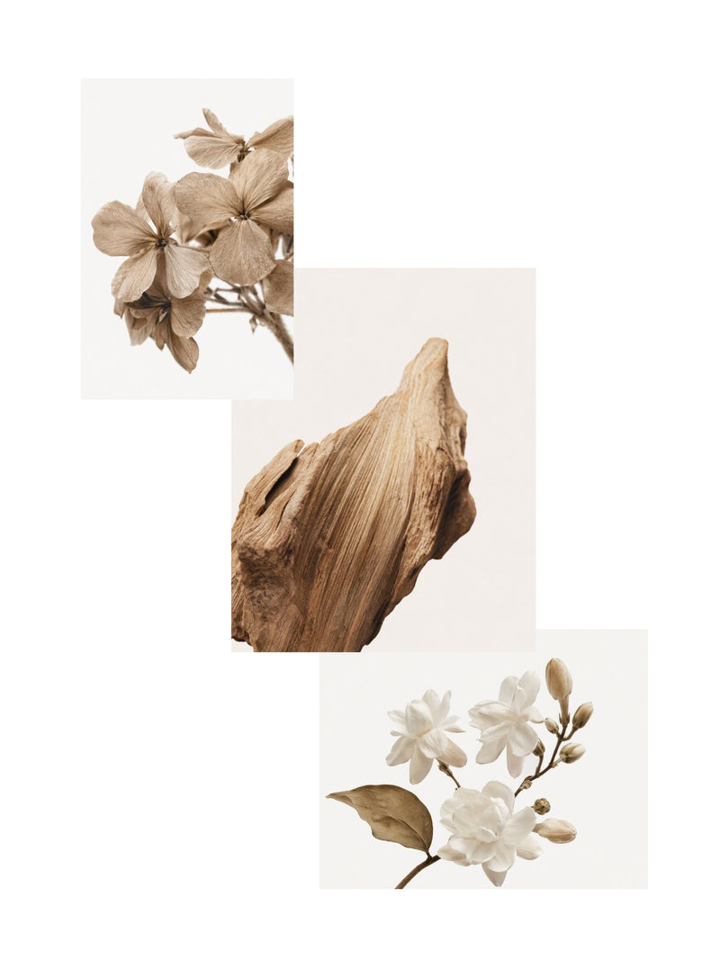 Sandalewood Jasmine Japanese Incense