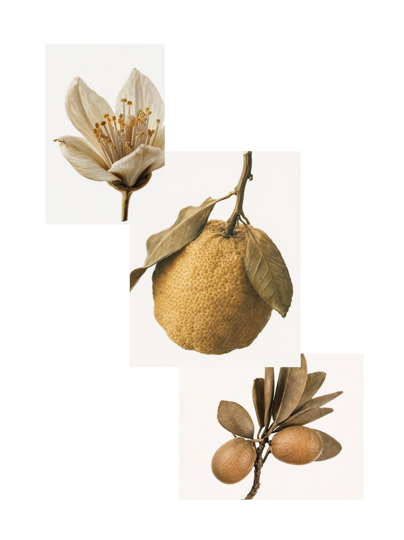 Japanese Yuzu Room Diffuser